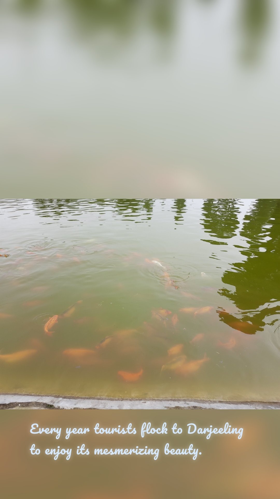 Every year tourists flock to Darjeeling to enjoy its mesmerizing beauty.